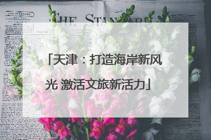 天津：打造海岸新风光 激活文旅新活力