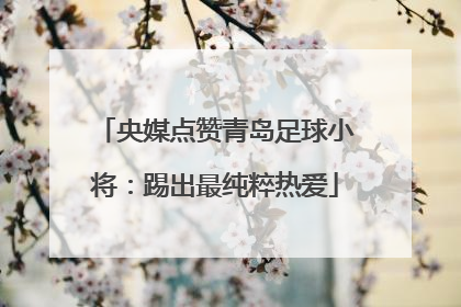 央媒点赞青岛足球小将：踢出最纯粹热爱
