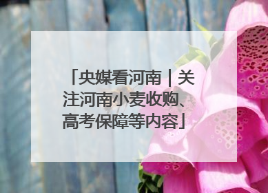 央媒看河南｜关注河南小麦收购、高考保障等内容