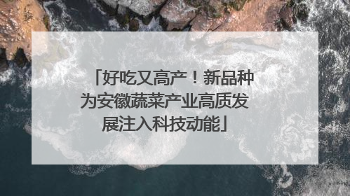 好吃又高产！新品种为安徽蔬菜产业高质发展注入科技动能