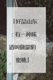 好品山东：有一种味道叫做蒙阴蜜桃