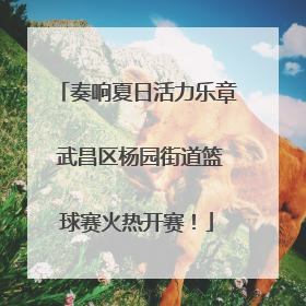 奏响夏日活力乐章 武昌区杨园街道篮球赛火热开赛！