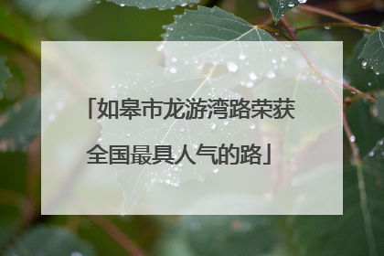 如皋市龙游湾路荣获全国最具人气的路