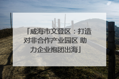 威海市文登区：打造对非合作产业园区 助力企业抱团出海