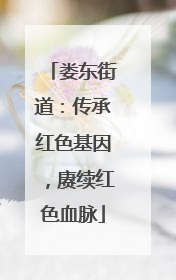 娄东街道：传承红色基因，赓续红色血脉