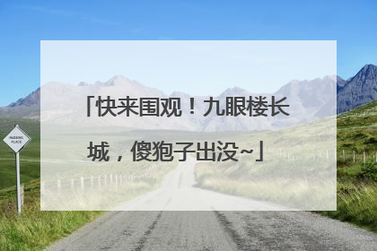 快来围观！九眼楼长城，傻狍子出没~