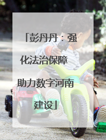 彭丹丹：强化法治保障 助力数字河南建设