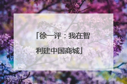 徐一评：我在智利建中国商城