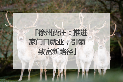 徐州贾汪：推进家门口就业，引领致富新路径