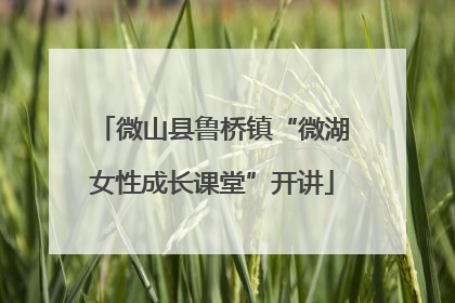 微山县鲁桥镇“微湖女性成长课堂”开讲