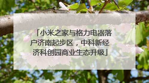 小米之家与格力电器落户济南起步区，中科新经济科创园商业生态升级