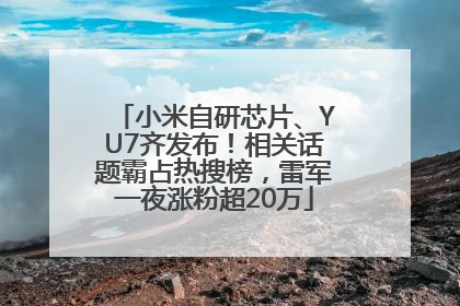 小米自研芯片、YU7齐发布！相关话题霸占热搜榜，雷军一夜涨粉超20万