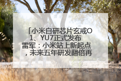 小米自研芯片玄戒O1、YU7正式发布 雷军：小米站上新起点，未来五年研发翻倍再投2000亿元