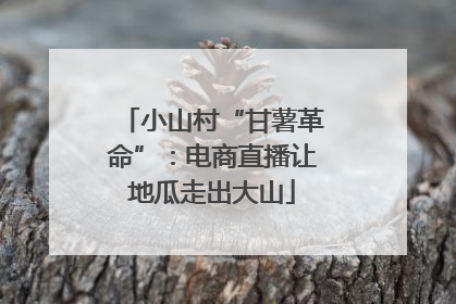 小山村“甘薯革命”：电商直播让地瓜走出大山