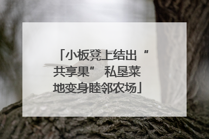 小板凳上结出“共享果” 私垦菜地变身睦邻农场