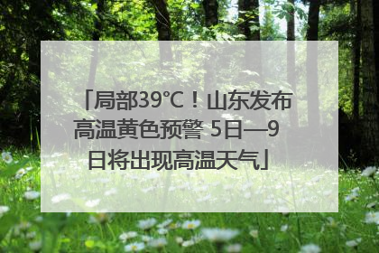 局部39℃！山东发布高温黄色预警 5日—9日将出现高温天气