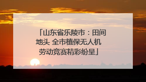 山东省乐陵市：田间地头 全市植保无人机劳动竞赛精彩纷呈