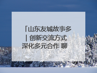 山东友城故事多｜创新交流方式 深化多元合作 聊城加速构建全球友城新格局