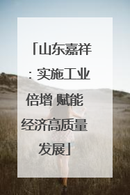 山东嘉祥：实施工业倍增 赋能经济高质量发展