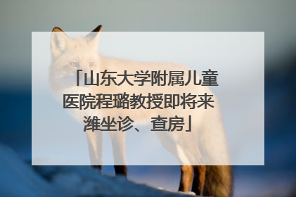 山东大学附属儿童医院程璐教授即将来潍坐诊、查房