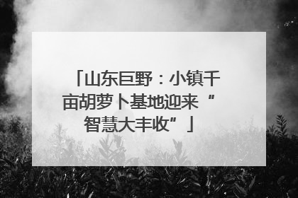 山东巨野：小镇千亩胡萝卜基地迎来“智慧大丰收”