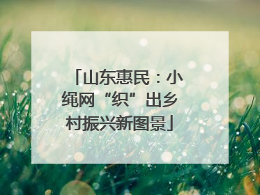 山东惠民：小绳网“织”出乡村振兴新图景