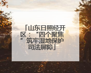 山东日照经开区：“四个聚焦”筑牢湿地保护司法屏障