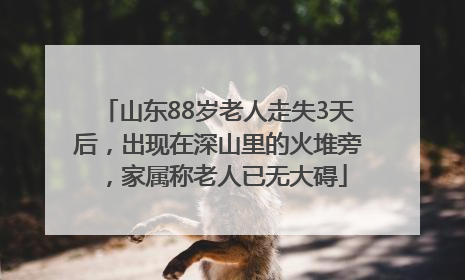 山东88岁老人走失3天后，出现在深山里的火堆旁，家属称老人已无大碍