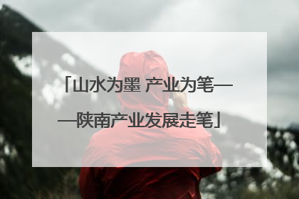 山水为墨 产业为笔——陕南产业发展走笔