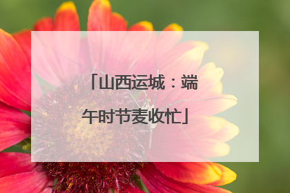 山西运城：端午时节麦收忙