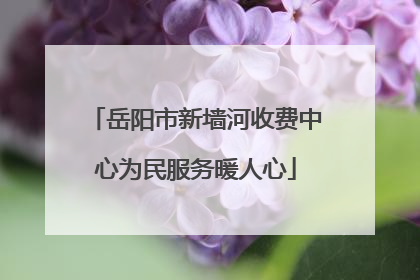 岳阳市新墙河收费中心为民服务暖人心