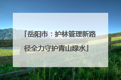 岳阳市：护林管理新路径全力守护青山绿水