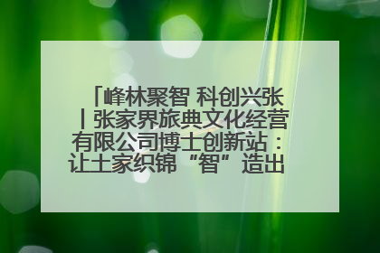 峰林聚智 科创兴张丨张家界旅典文化经营有限公司博士创新站：让土家织锦“智”造出非遗新传奇