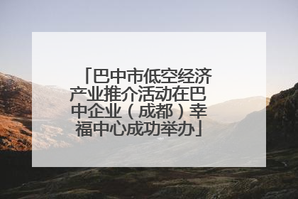 巴中市低空经济产业推介活动在巴中企业（成都）幸福中心成功举办