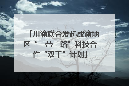 川渝联合发起成渝地区“一带一路”科技合作“双千”计划