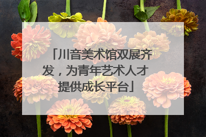 川音美术馆双展齐发，为青年艺术人才提供成长平台