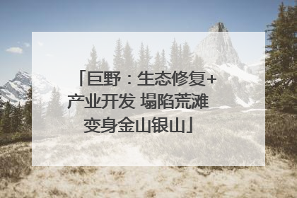 巨野：生态修复+产业开发 塌陷荒滩变身金山银山