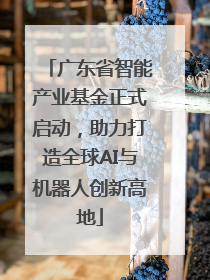 广东省智能产业基金正式启动，助力打造全球AI与机器人创新高地