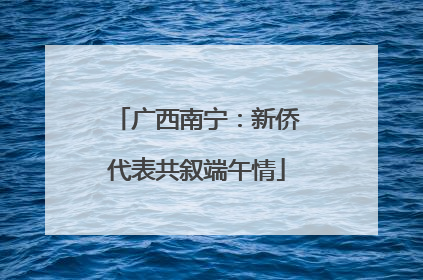广西南宁：新侨代表共叙端午情