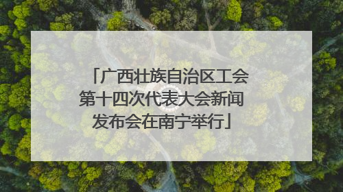 广西壮族自治区工会第十四次代表大会新闻发布会在南宁举行