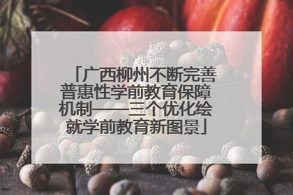 广西柳州不断完善普惠性学前教育保障机制——三个优化绘就学前教育新图景