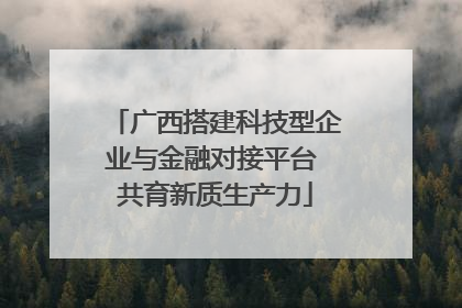 广西搭建科技型企业与金融对接平台 共育新质生产力