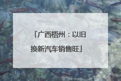 广西梧州：以旧换新汽车销售旺