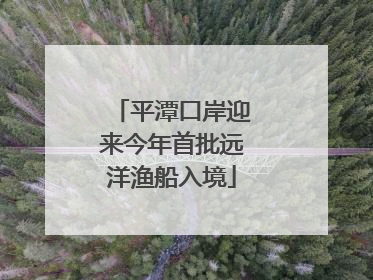 平潭口岸迎来今年首批远洋渔船入境