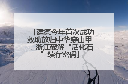 建德今年首次成功救助放归中华穿山甲，浙江破解“活化石”续存密码