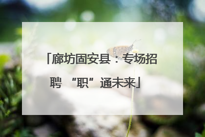 廊坊固安县：专场招聘 “职”通未来