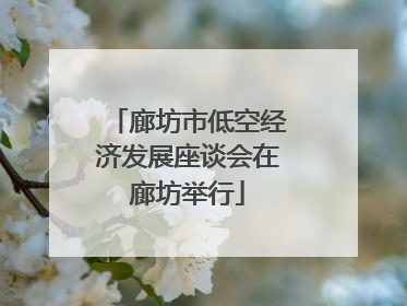 廊坊市低空经济发展座谈会在廊坊举行