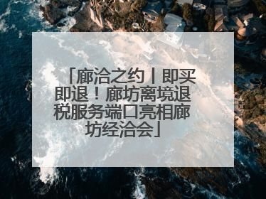 廊洽之约丨即买即退！廊坊离境退税服务端口亮相廊坊经洽会