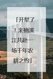 开犁了！来楠溪江共赴一场千年农耕之约