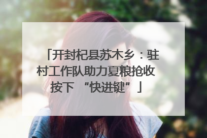 开封杞县苏木乡：驻村工作队助力夏粮抢收按下 “快进键”